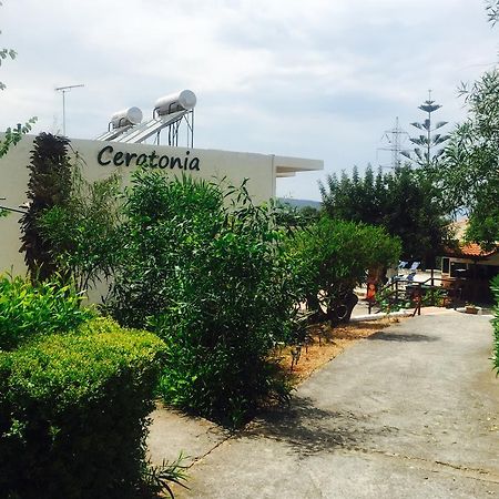 Ceratonia Apartment Malia  Exterior photo
