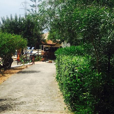 Ceratonia Apartment Malia  Exterior photo