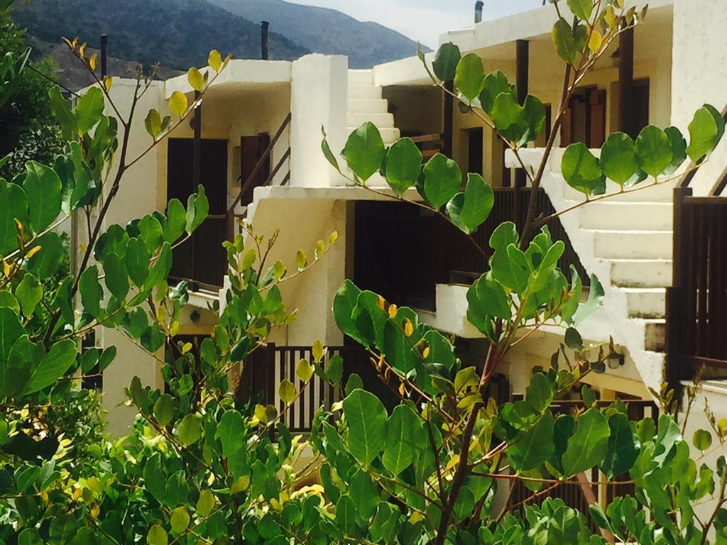 Ceratonia Apartment Malia  Exterior photo